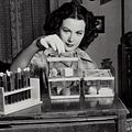 Photo Hedy Lamarr