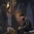 Photo Cameron Cuffe