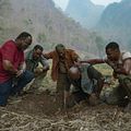 Photo Norm Lewis