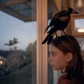 Photo Griffin Murray-Johnston