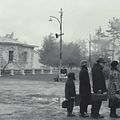 Photo Dmitriy Kobetskoy