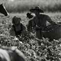Photo Charmaine Bingwa