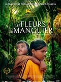 image de la vidéo Les Fleurs du manguier