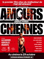 poster de Amours chiennes
