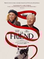 poster du film The Friend