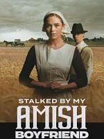 poster de Kidnappée par un Amish