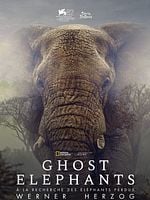 Ghost Elephants