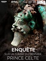 poster de Enquête sur la tombe du dernier prince celte