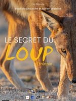 poster de Le Secret du Loup d’Éthiopie