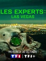 Les Experts : Las Vegas