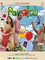 poster de Painkili