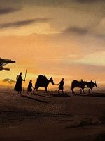 poster de Papillons noirs