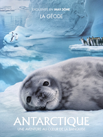 poster de Antarctique : Une aventure au cœur de la  banquise
