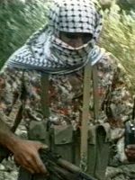 poster de  Up to the South