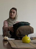 poster de Journal d'un acrobate