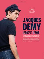poster de Jacques Demy, le rose et le noir