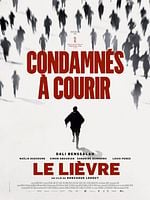 poster de Le Lièvre
