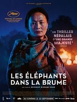 poster de Les Elephants dans la brume