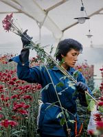 poster de Amour, femmes et fleurs