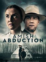 poster de Un enfant kidnappé chez les Amish