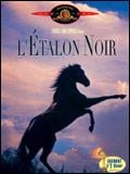 L'Etalon noir