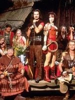 image de Les Nouvelles Aventures de Robin des Bois