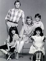 image de La Petite merveille