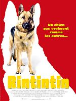 poster de Rintintin