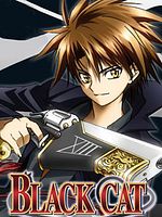 poster de Black Cat