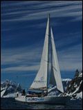 poster de Dans le sillage du Belgica