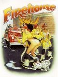 poster de Firehouse