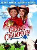 poster de Grand Champion