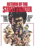 poster de Return of the Street Fighter