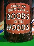 poster de Boobs in the Woods