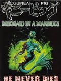 poster de Guinea Pig : Mermaid in the Manhole