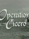 poster de Operation Cicero