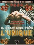 poster de Il était une fois l'unique