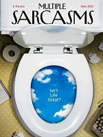 poster de Multiple Sarcasms