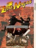 poster de 3 Little Ninjas and the Lost Treasure