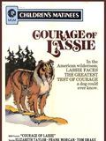 poster de Le Courage de Lassie