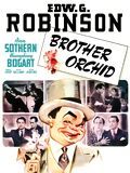 poster de Brother Orchid