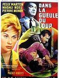 poster de Dans la gueule du loup