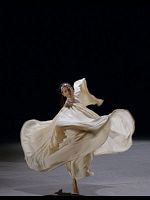 poster de Les Faux pas