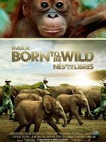 poster de Born to be Wild - Nés pour être libres