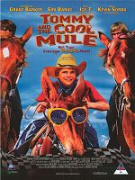 poster de Un drôle d'ami