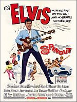 poster de Le Tombeur de ces demoiselles