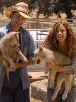 poster de Coeurs sauvages (TV)