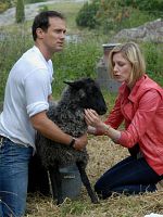 poster de Petits mensonges en famille (TV)