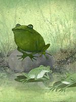 poster de Mille-pattes et crapaud