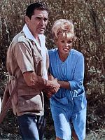 poster de Le secret de la liste rouge